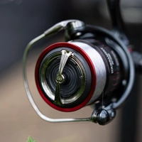 Daiwa 26 Tournament QD Match & Feeder Reel